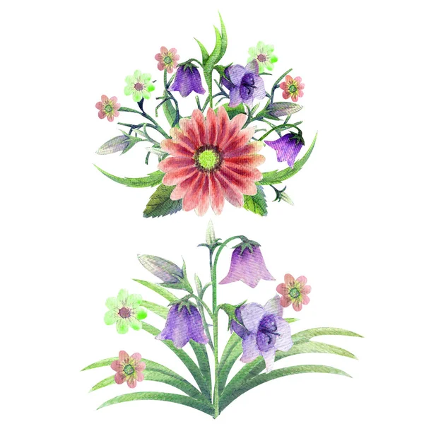 水彩画野花 花的插图 波希米亚花束 结婚纪念日 生日请柬 — 图库照片