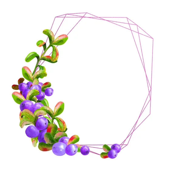 Een geometrische lijst met rijpe irgi bessen op een witte achtergrond is geïsoleerd. Grafisch element. Aquarelillustratie — Stockfoto