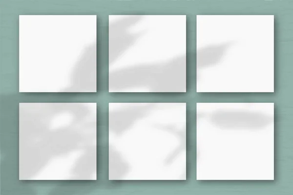 6 τετράγωνα φύλλα λευκού χαρτιού στο φόντο του πράσινου τοίχου. Mockup επικαλύπτονται με τις σκιές των φυτών. Φυσικό φως ρίχνει σκιές από ένα εξωτικό φυτό.. Flat lay, top view — Φωτογραφία Αρχείου