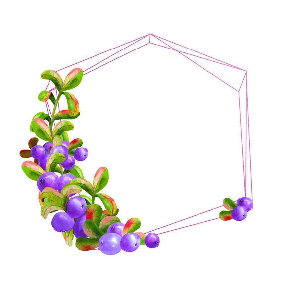 Una cornice geometrica con bacche di irgi maturi su fondo bianco è isolata. Elemento grafico. Illustrazione ad acquerello — Foto Stock