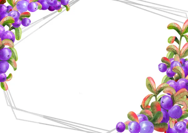 Beyaz arka planda olgun irgi çilekleri olan yatay çerçeve. Grafik elementi. Suluboya çizimi