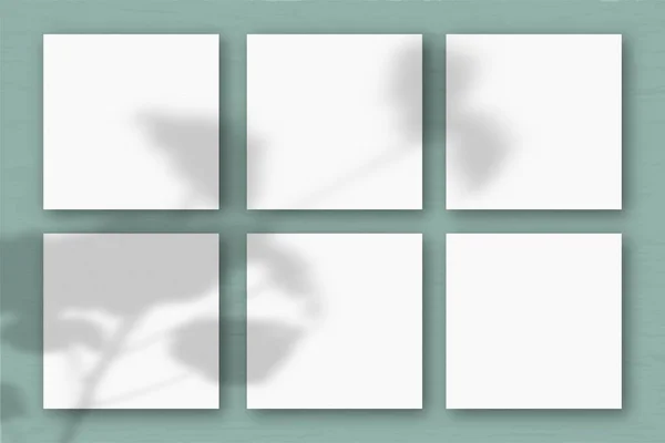 6 τετράγωνα φύλλα λευκού χαρτιού στο φόντο του πράσινου τοίχου. Mockup επικαλύπτονται με τις σκιές των φυτών. Φυσικό φως ρίχνει σκιές από ένα εξωτικό φυτό.. Flat lay, top view — Φωτογραφία Αρχείου