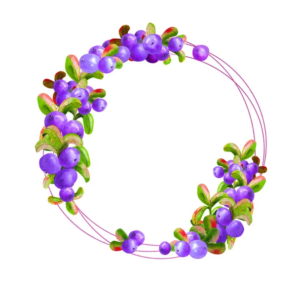 Изолирована Геометрическая Рамка Спелыми Ягодами Ирги Белом Фоне Графический Элемент — стоковое фото