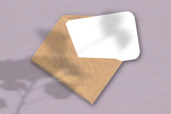 粉红的背景上有一张白色纹理纸的信封 用植物阴影包裹起来的模型 自然光从天琴座投射出阴影 横向方向 — 图库照片