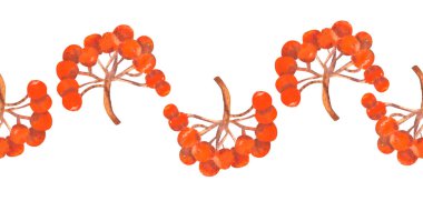 Autumn Rowan böğürtlenleri. Yaz yatay sınırını tekrarlıyorum. Çiçek suluboya. Tebrik kartları veya davetiyeler için kompozisyonlar. Suluboya Çizimi.