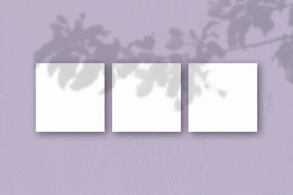 Négyzet Alakú Fehér Texturált Papír Orgonafal Háttér Mockup Overlay Növény — Stock Fotó