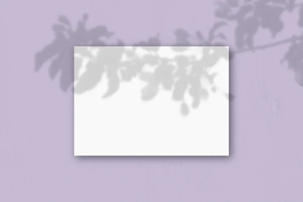 Horizontal Sheet White Textured Paper Lilac Wall Background Mockup Overlay — Stock Photo, Image