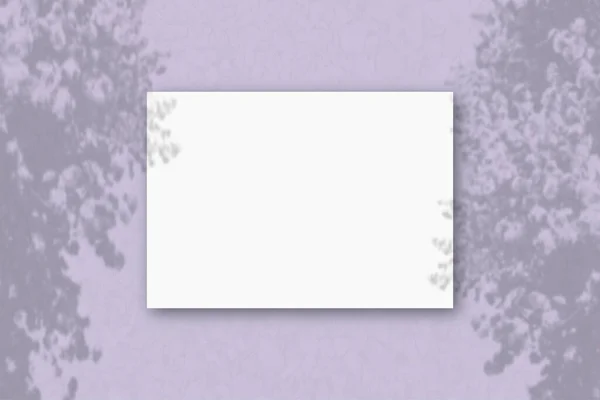 Uma Folha Horizontal Papel Branco Texturizado Fundo Parede Lilás Mockup — Fotografia de Stock