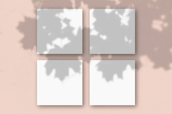 4 folhas quadradas de papel branco texturizado no fundo da parede rosa. Mockup se sobrepõe às sombras das plantas. A luz natural lança sombras de uma fábrica exótica. Deitado plano, vista superior — Fotografia de Stock