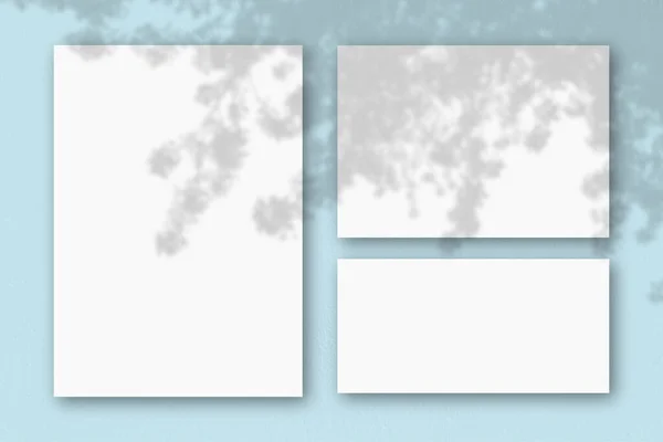 青い壁の背景に白いテクスチャ紙のいくつかの水平と垂直シート 自然光はエキゾチックな植物から影を投げかけます フラットレイアウト トップビュー 水平方向 — ストック写真