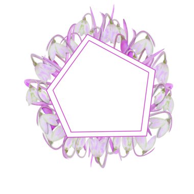 Dışında kardamlaları olan romantik bir çerçeve beyaz izole bir zemin üzerinde. Leylak tonlarında suluboya illüstrasyon.