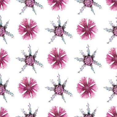 Beyaz arka planda çiçek ve devedikeni yaprakları olan kusursuz bir desen. Duvar kağıdı veya kumaş için çiçek deseni. Suluboya çizimi. Paketleme tasarımı, davetiyeler, kartpostallar için öge.