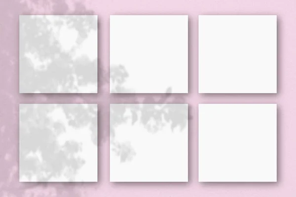 6 τετράγωνα φύλλα από λευκό χαρτί με υφή στο φόντο του ροζ τοίχου. Mockup επικαλύπτονται με τις σκιές των φυτών. Φυσικό φως ρίχνει σκιές από ένα εξωτικό φυτό.. Flat lay, top view — Φωτογραφία Αρχείου