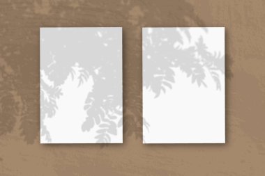 2 vertical sheets of textured white paper on brown table background. Mockup with an overlay of plant shadows. Natural light casts shadows from a Rowan branch. Horizontal orientation. clipart