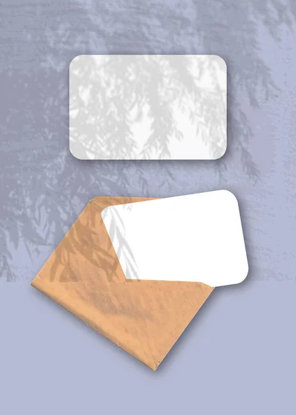 バイオレットの背景に2枚の質感の白い紙で封筒 植物の影とモックアップオーバーレイ 柳の枝から自然光が影を落とす 垂直方向 — ストック写真