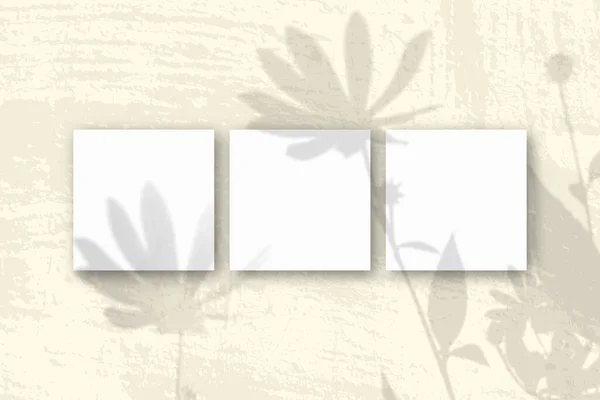 Természetes Fény Árnyékot Vet Egy Csicsóka Virág Négyzet Alakú Fehér — Stock Fotó