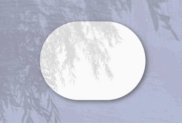 Mavi Duvar Zemininde Beyaz Desenli Yatay Oval Bir Sayfa Bitkilerin — Stok fotoğraf