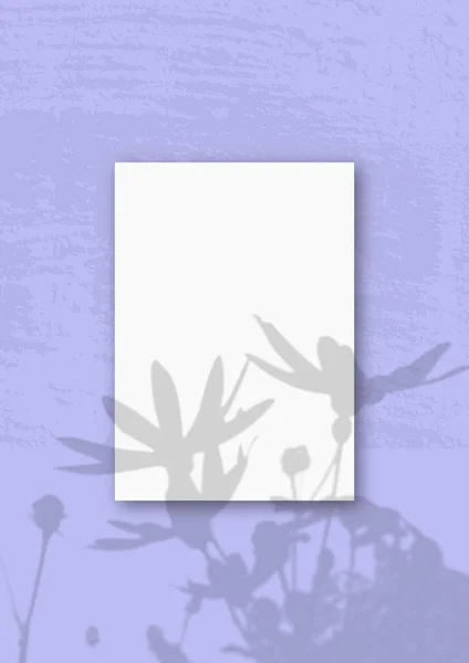 Vertical Sheet White Textured Paper Lilac Wall Background Mockup Overlay — Stock Photo, Image