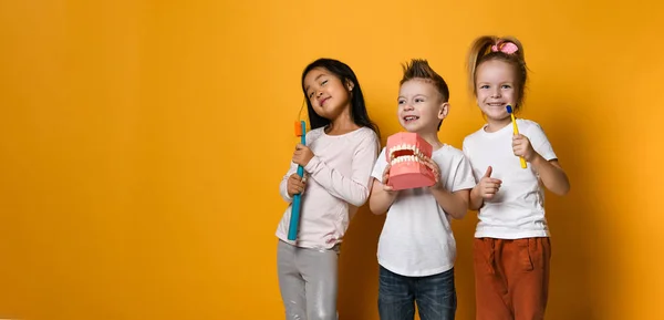 dişlerle ilgili sağlık bilgisi. Diş fırçaları küçük sevimli çocukla mutlu.