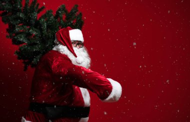 Kırmızı arka planda omzunda ağır bir Noel ağacı taşıyan komik şişman Noel Baba. Kar yağıyor