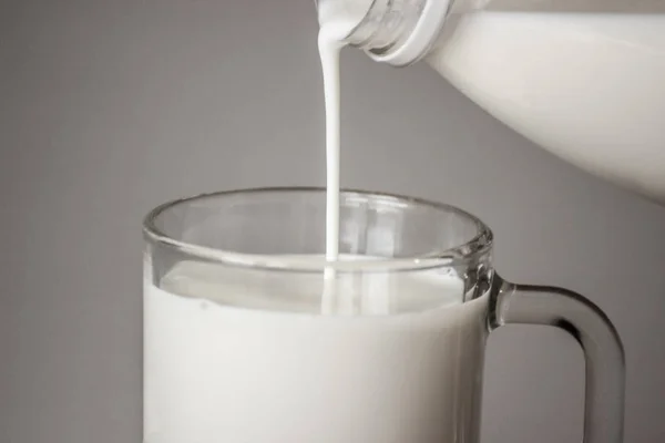 Wlać mleko do kubka z butelki. Mleko WHTE (biały) na szarym tle. — Zdjęcie stockowe