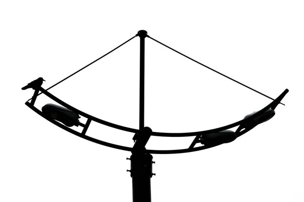 Kruk siedzący na latarnia przeciwko białe niebo. Czarno białe zdjęcie — Zdjęcie stockowe