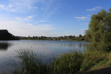 ağaçlar ile kıyıdan göl manzarası. Güneşli bir gün, mavi gökyüzü. Kırsal