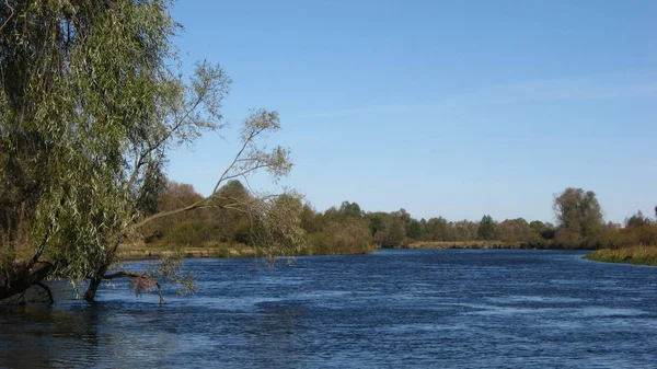 Pohled Jezero Břehu Mezi Stromy Slunečný Den Modrá Obloha Venkov — Stock fotografie