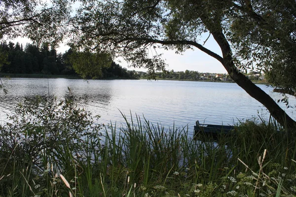 Widok Jezioro Brzegu Przez Drzewa Słoneczny Dzień Błękitne Niebo Wsi — Zdjęcie stockowe