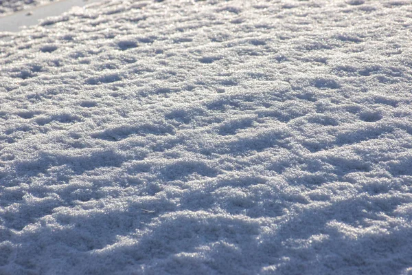 Λαμπρή Παγετού Στον Ήλιο Μπλε Φως Ψυχρός Καιρός Χειμώνα Ασημί — Φωτογραφία Αρχείου