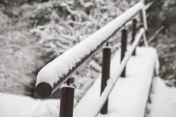 Ledstången För Trappor Snön Vägen Efter Snöfall Vintern Vägen Hem — Stockfoto