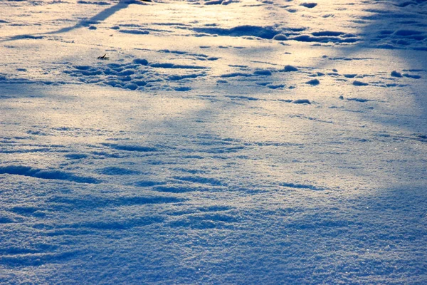Dois Passos Humanos Neve Dia Ensolarado Caminhada Gelada Neve Recém — Fotografia de Stock