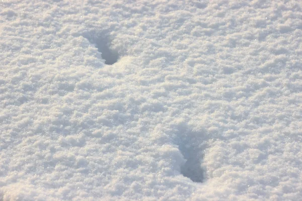 Snö Snowbank Solig Dag Fluffig Snö Skimrar Solen Abstrakt Naturliga — Stockfoto