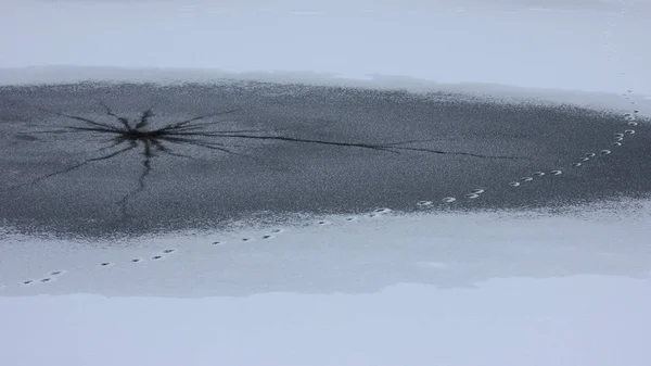 Zamrzlou Řeku Vody Řeka Malými Otevřené Vodě Transparentní Polynya Ztuhl — Stock fotografie