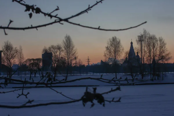 Zweige Mit Frost Auf Dem Hintergrund Der Stadt Morgendämmerung Heller — Stockfoto