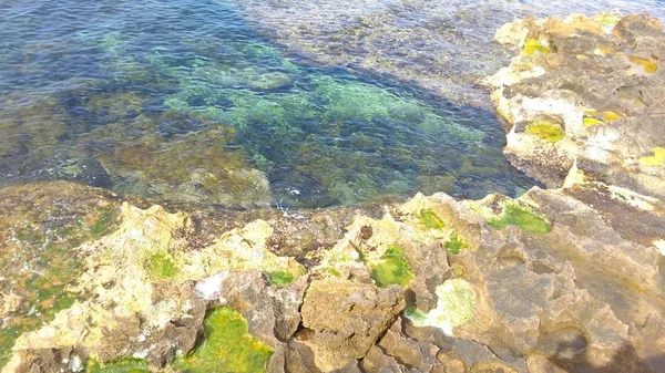 Eau de mer verte sur le rivage, rivage en pierre avec algues et mousse. falaises, érodées par l'eau. plage ou océan, romance, vacances en famille — Photo