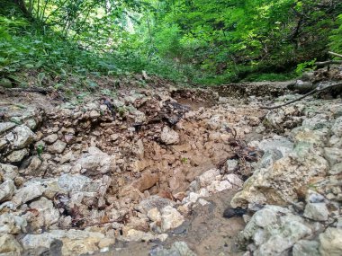 yeşil ormanın arka planda nehrin tüm uzunluğu boyunca bir dağ Nehri, taşlar, büyük taşlar akışını kuru yer