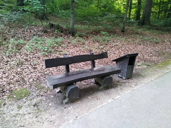 Коричневая скамейка с урной в лесу рядом с асфальтированной дорогой. Парк для прогулок и активного отдыха, чистоты и аккуратности, заботы о дикой природе . — стоковое фото