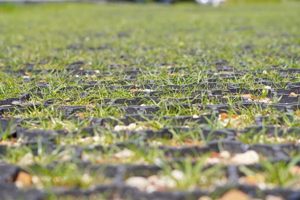 보도에 현대 에코 시티 주차장의 플라스틱 타일 사이에 야생 잔디 새싹. 잔디에 대한 간격복잡한 기하학적 모양의 플라스틱 건설. 복사 공간, 제로 무게. — 스톡 사진
