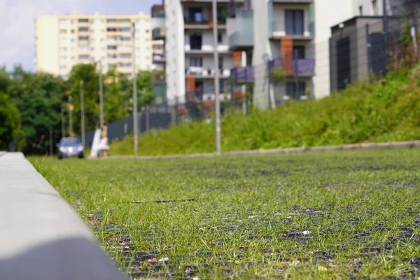 Vad fűhajtások között a műanyag csempe a modern Eco-City parkoló a járdán. komplex geometriai alakzat műanyag szerkezete, a fű intervallumai szerint. másolási tér, nulla súly. — Stock Fotó