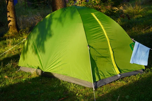 Grønt telt i solskinnet på en sommerdag står ved et tre. Turisme og reisekonsept. Lystig solskinnsdag i fjellet . – stockfoto