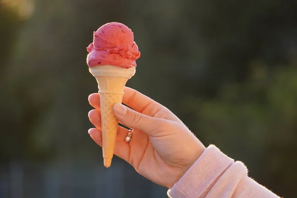 ice cream red in waffle cone on bluer background. raspberry, strawberry or cherry frozen dessert, sorbet. girl holding cone of ice cream