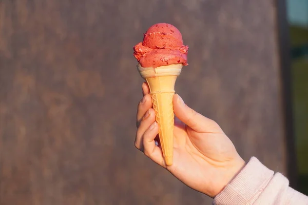 ice cream red in waffle cone on bluer background. raspberry, strawberry or cherry frozen dessert, sorbet. girl holding cone of ice cream