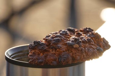 Sıcak içecek ve kuru üzümlü yulaf kurabiyesi ile termos fincan, kamp çay masada. sabah çiy, masada su damlaları, yumuşak gündoğumu veya günbatımı ışık, arka plan