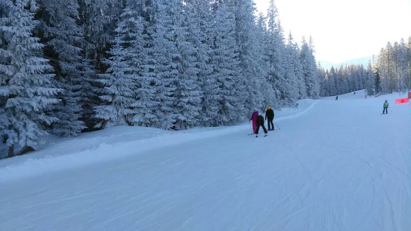Estância de esqui nas montanhas da floresta, árvores de Natal na neve branca. Dia ensolarado, férias em família activas. esqui, snowboard ou caminhadas nas montanhas — Fotografia de Stock