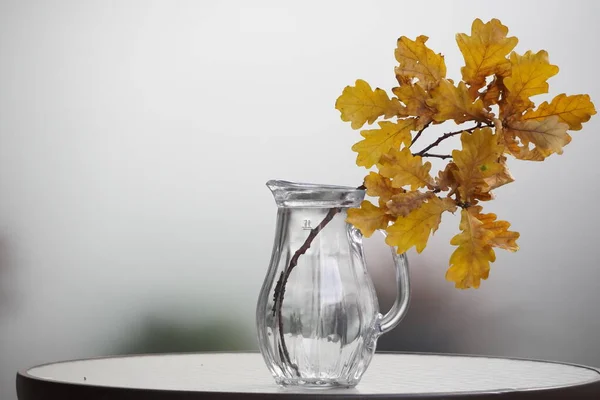 oak branch with yellow leaves stands on a glass table in a glass jar or vase. autumn decor on a light background. copy space, change of season.