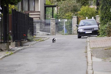 Kaldırımdaki iskan alanına park etmiş bir araba.