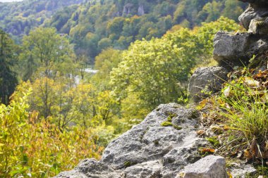 Kurumuş yapraklar yeşil ormana karşı kayaların üzerinde uzanır. f