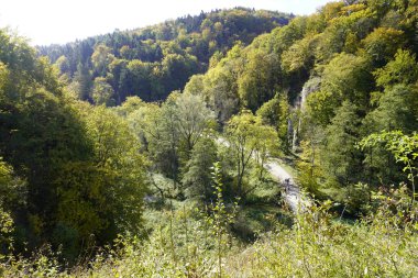 Sonbahar dağlarda, renkli ağaçlar güneşli bir günde. Dağ yamaçlarındaki çam dallarının manzarası yeşil.