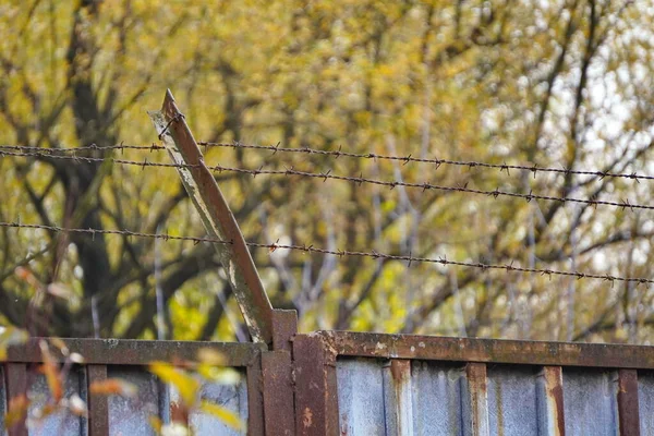 Alambre de púas en la cerca oxidada en el fondo de los árboles amarillos de otoño. Derecho de propiedad, protección del territorio, protección de los bienes, protección de los bienes —  Fotos de Stock